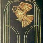 bird3.jpg